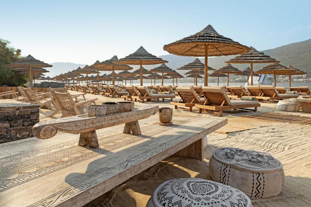 تایتانیک